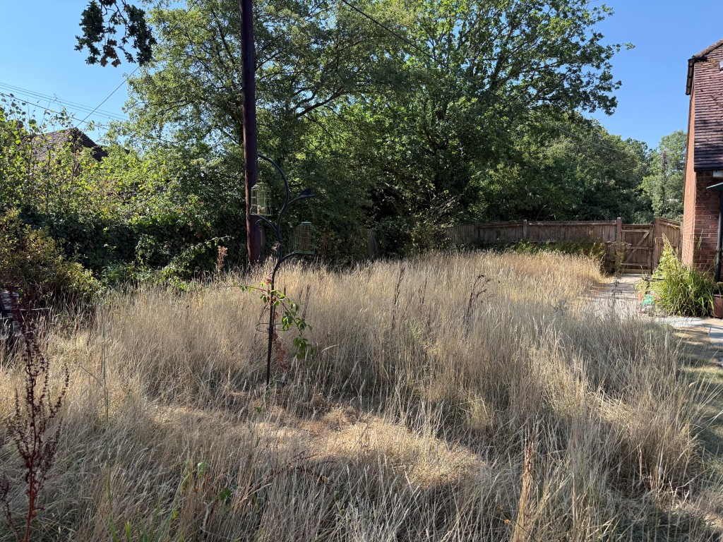 Lot: 49 - BUILDING PLOT IN ESTABLISHED RESIDENTIAL LOCATION - View of rear from boundary